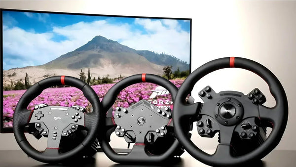 How to Set Up the PXN VD Series for Forza Horizon 5 on PC?